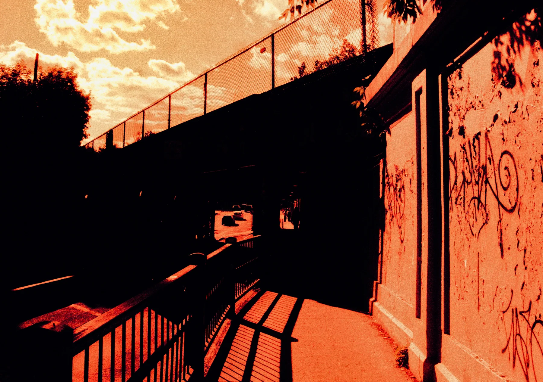 A narrow sunlit passage beside a building