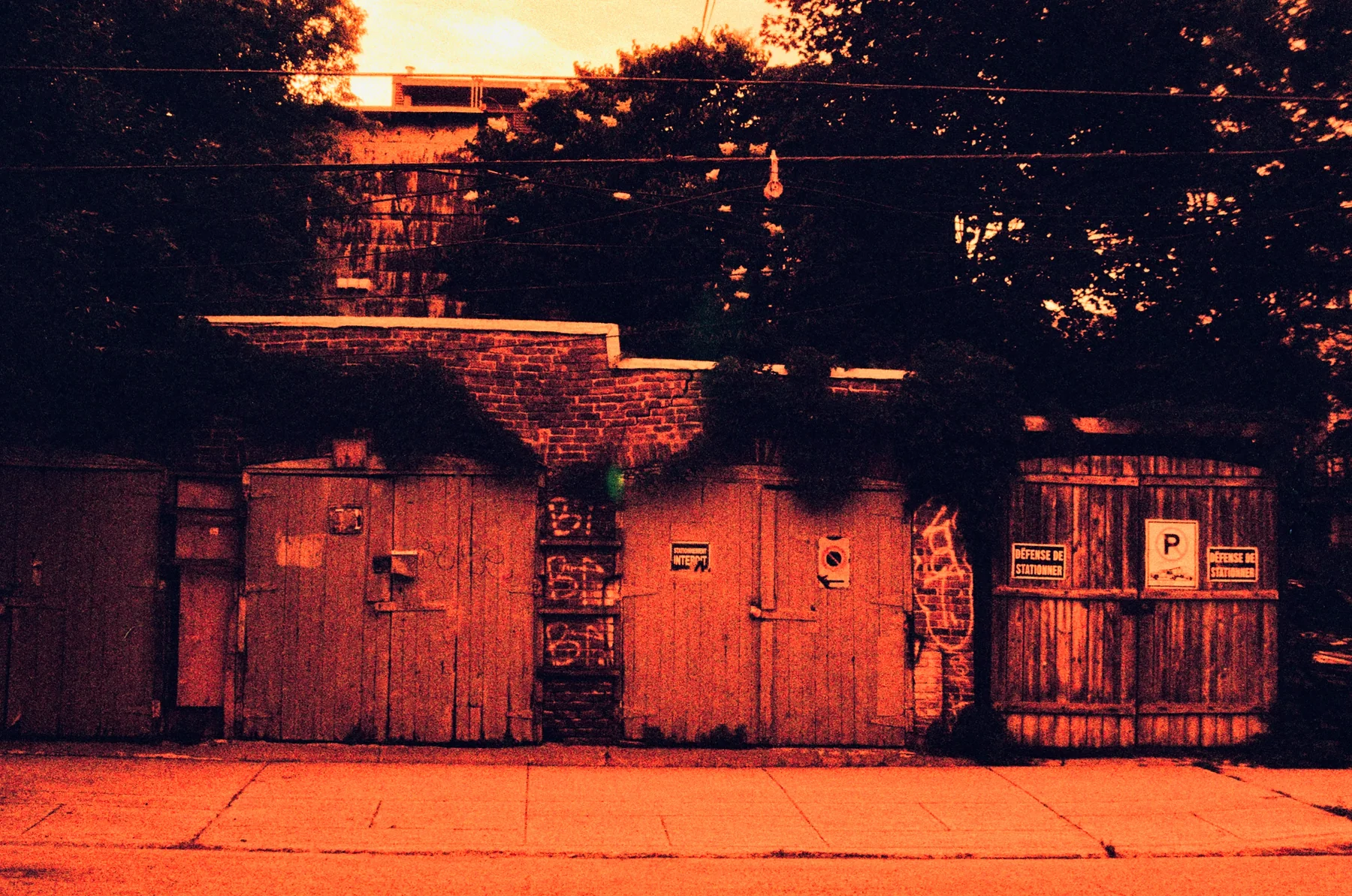 Garage doors beneath trees in deep orange light