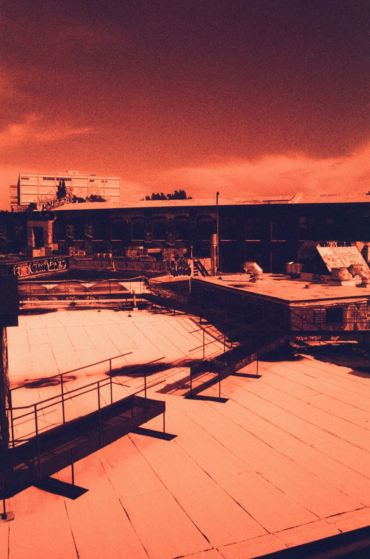 A high view across roofs under a warm sky
