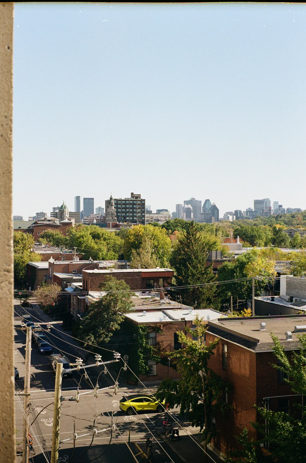 Low rooftops and trees with a city skyline in the distance